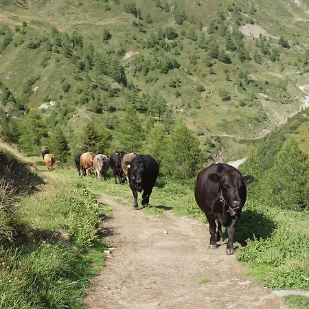 Bergkristall Lägenhet