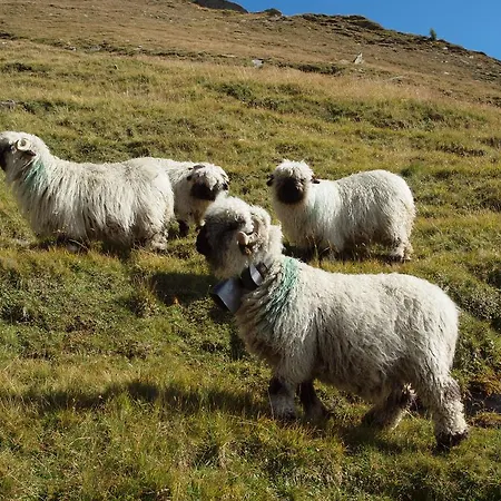 公寓 Bergkristall *