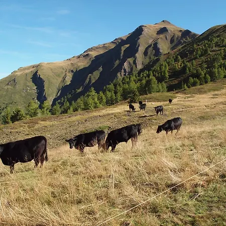 Bergkristall 公寓 Rosswald